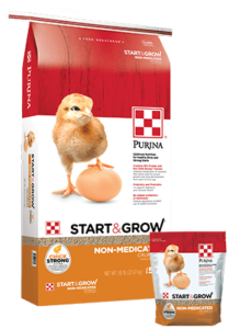 Products_Flock_Purina-Start-Grow-Non-Medicated_50-lb-5-lb-bags